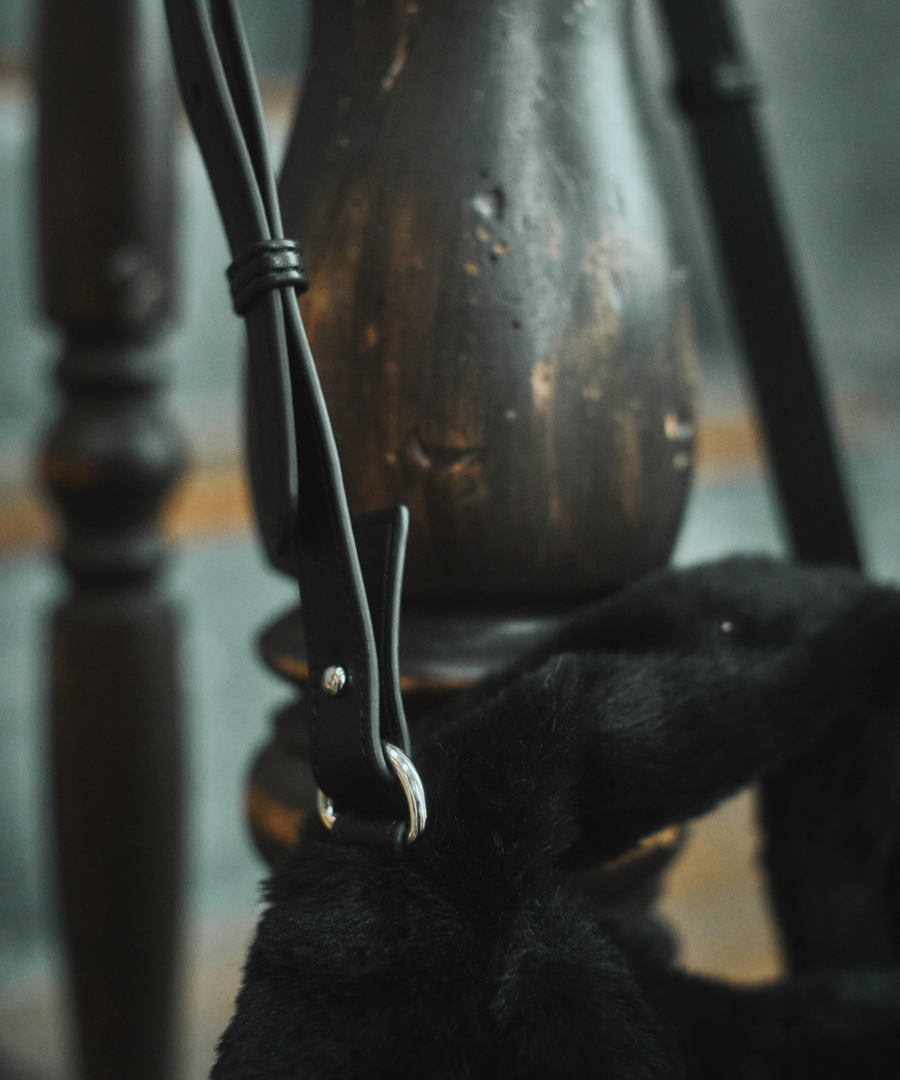 "Etrarium" Fur Mini Bag